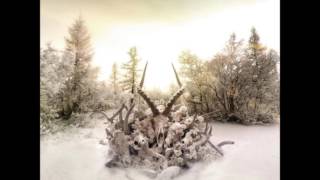 Video thumbnail of "Soundgarden - Bones of birds"