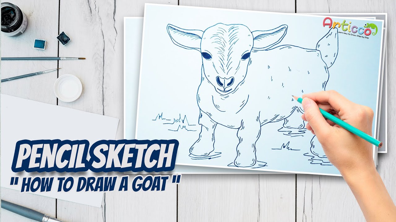 Pencil Sketch || How To Draw Goat Step by Step