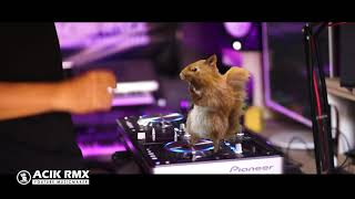 Tarik Sis Semongko     Pelangi Pelangi Remix Gayo Mugagak by DJ Acik