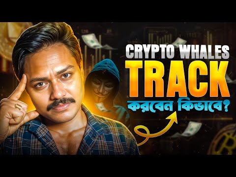 How to Track Crypto Whales? | ক্রিপ্টো Whales ট্র্যাক করবেন কীভাবে | Tutorial | Bong Crypto