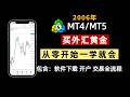 2026年外汇小白入门,如何使用MT4/MT5买外汇视频教程。从零开始第一次购买加外汇黄金、MT4/MT5如何使用,一个视频教会你。