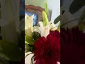 Flores para que tu jueves tenga más color. Dios los bendiga grandemente