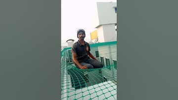 we Use Strongest Materials Pigeon net and safety net #reels #safetyfirst #safetynet #reels #pigeon