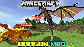 How to Download Dragon Mod in Minecraft screenshot 4