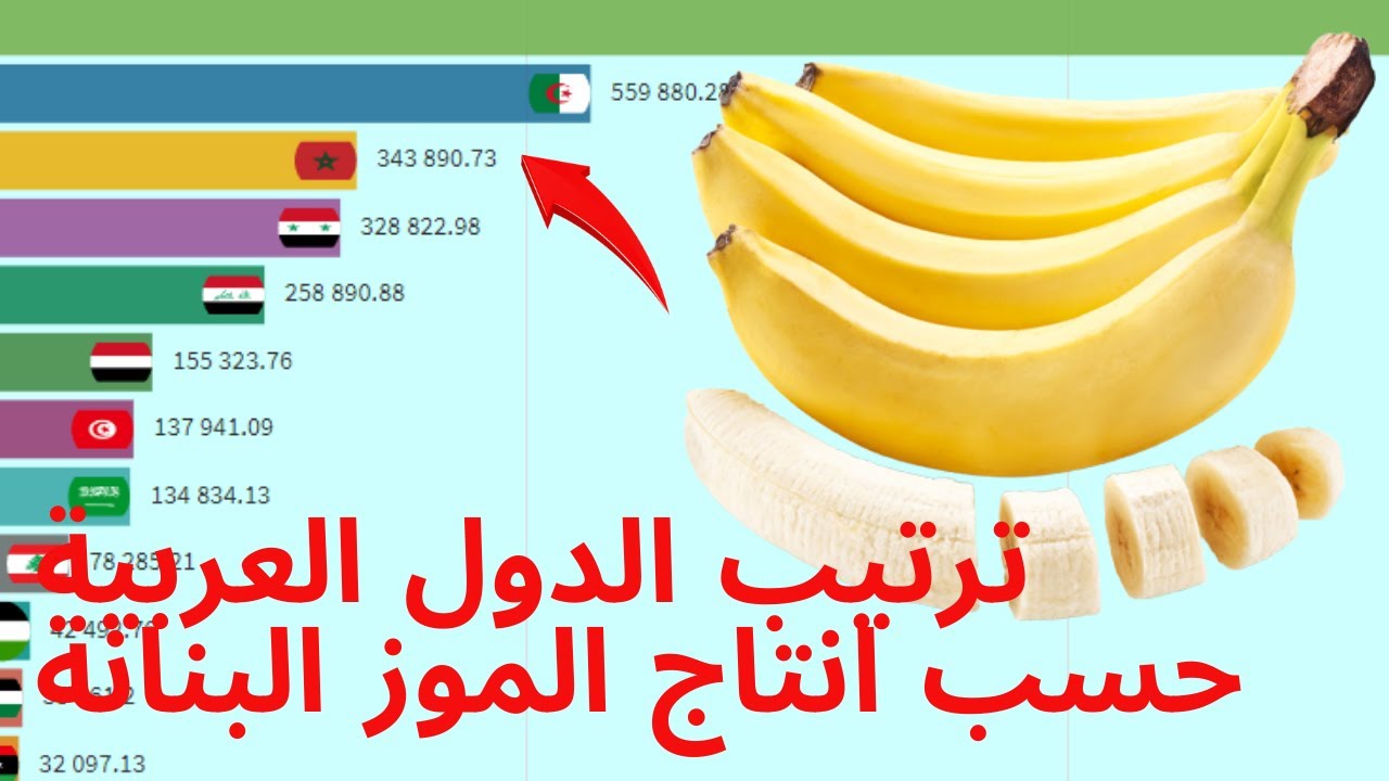 ترتيب الدول العربية حسب انتاج الموز البنانة Youtube