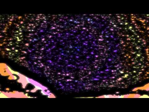 African Head Charge - Hole In The Roof