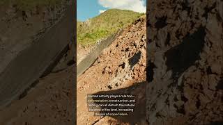 What Causes Landslides?