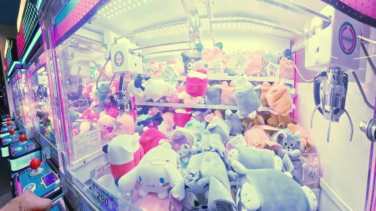 ２０２６／０２／１５夜騎海豚灣