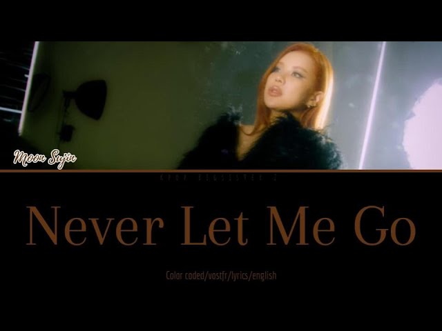 [VOSTFR] Moon Sujin - Never Let Me Go {Eng Sub} class=