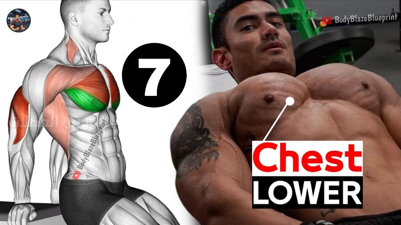 Lower Chest Workout At Gym//Top-7 lower chest Exercise
