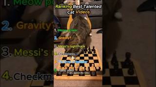 Ranking Best Talented Cat Videos
