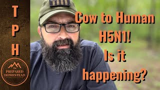 Cow to Human H5N1! Is it happening?