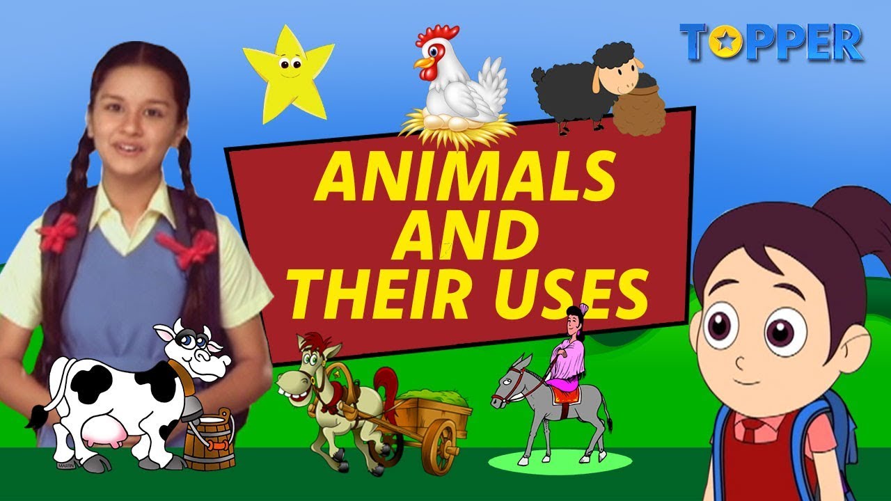 Exploring the Uses of Animals | Endangered Animals | Class 1 to 5 | -  YouTube