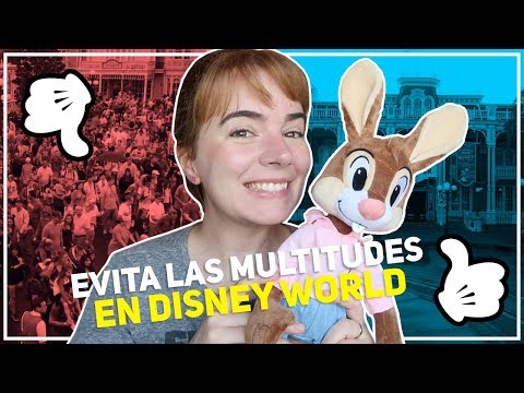 Video: Los días menos concurridos en Disney World