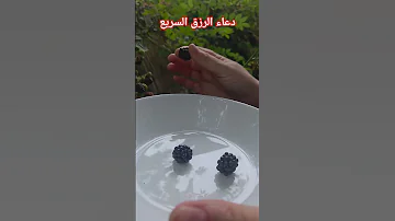 اليوم قطفنا غلال الغاب الحمدلله على نعم الله Explore Foryou لايك دعاء الرزق يومياتي 