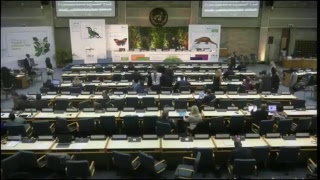 Third United Nations Environmental Assembly -Opening Ceremony - English Language