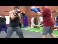 Boxing training combination punching partner pads