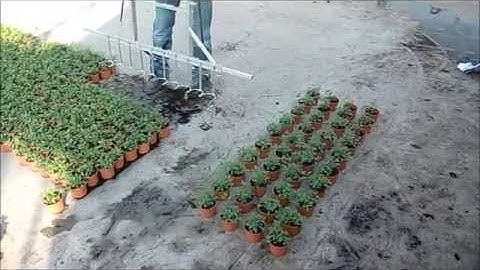 Spacing Forks for Pot Plants