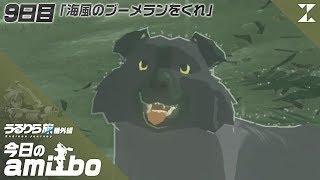 うるりら旅 今日のamiibo 9日目 海風のブーメランをくれ ずなまるの ゼルダの伝説 ブレス オブ ザ ワイルド Youtube