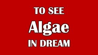 To See Algae in Dream, Dream Dictionary