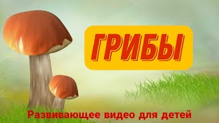 ГРИБЫ для детей. Лексическая тема \