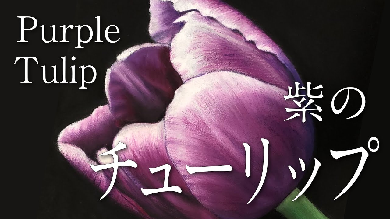 チョークアート 紫のチューリップ Purple Tulip Youtube