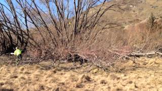 2016 New Zealand Discgolf Championships