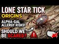 The Tick That Makes You Allergic to Meat: Should You Worry?
