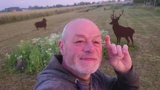 15 juin au jardin avec Philippe  on change de Lune