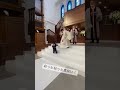 可愛すぎるリングボーイの登場💍元気いっぱいなポリスに会場も大盛り上がり間違いなしです✨video by...@___ayapi0415 さま#一度きりの人生一度は魔法にかけられて #プラコレ
