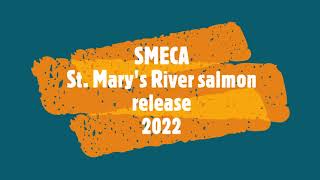 Download Lagu SMECA 2022 salmon release MP3