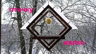 Кормушка своими руками.  DIY bird feeder.