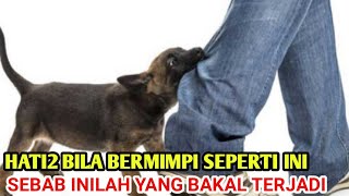 8 TAFSIR MIMPI DI GIGIT ANJING