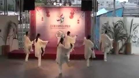 CHEN SHI TaijiQuan XIN JIA YI LU 陳氏新架一路 with a NEW AGE Music !