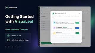 Try VisuaLeaf Without a Database | MongoDB Demo