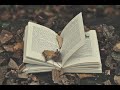 Стефан Цвейг. "Жгучая тайна" (часть 3)
