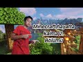 Minecraft Hayatta Kalma 2. Bölüm