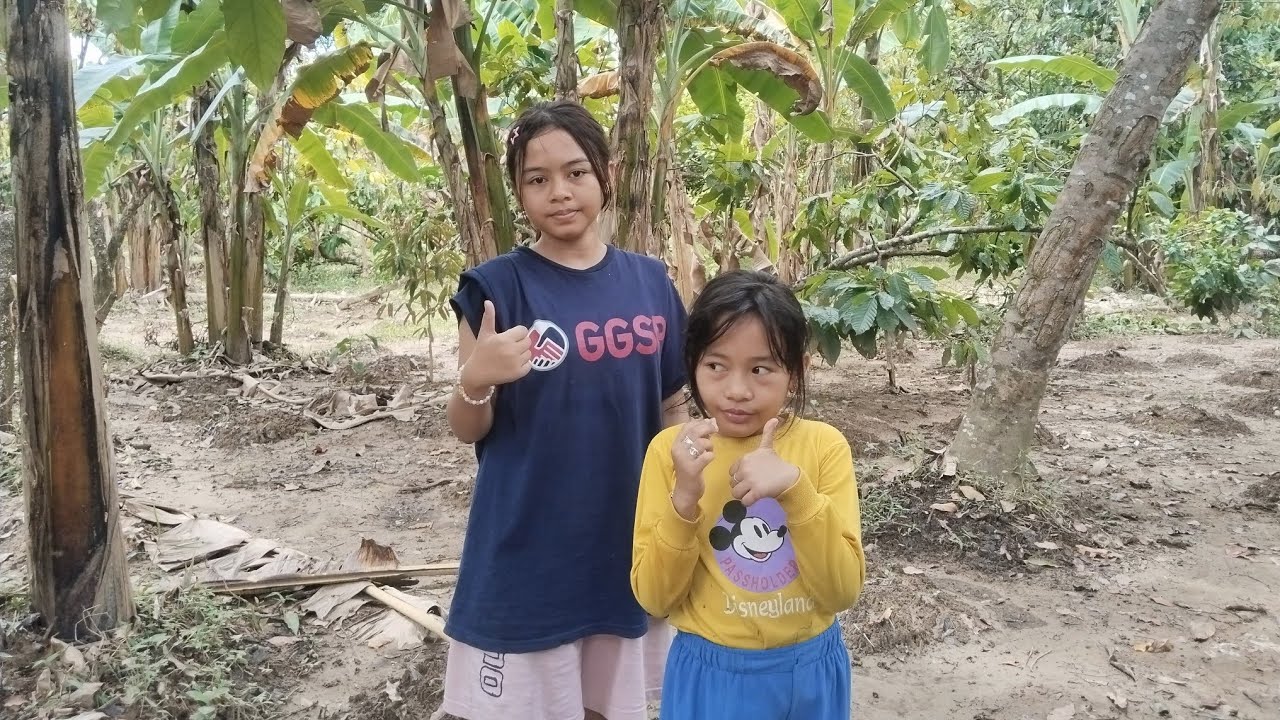 Сегодняшние мероприятия в обширной области GAES