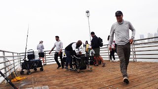 Quick Morning at Coronado Ferry Landing! -- San Diego Bay by Bearz G. 5,878 views 10 months ago 9 minutes, 27 seconds