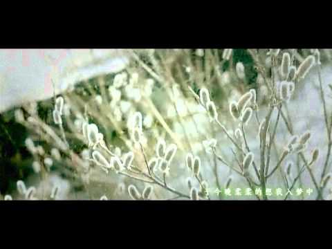 我和春天有個約會-殢師