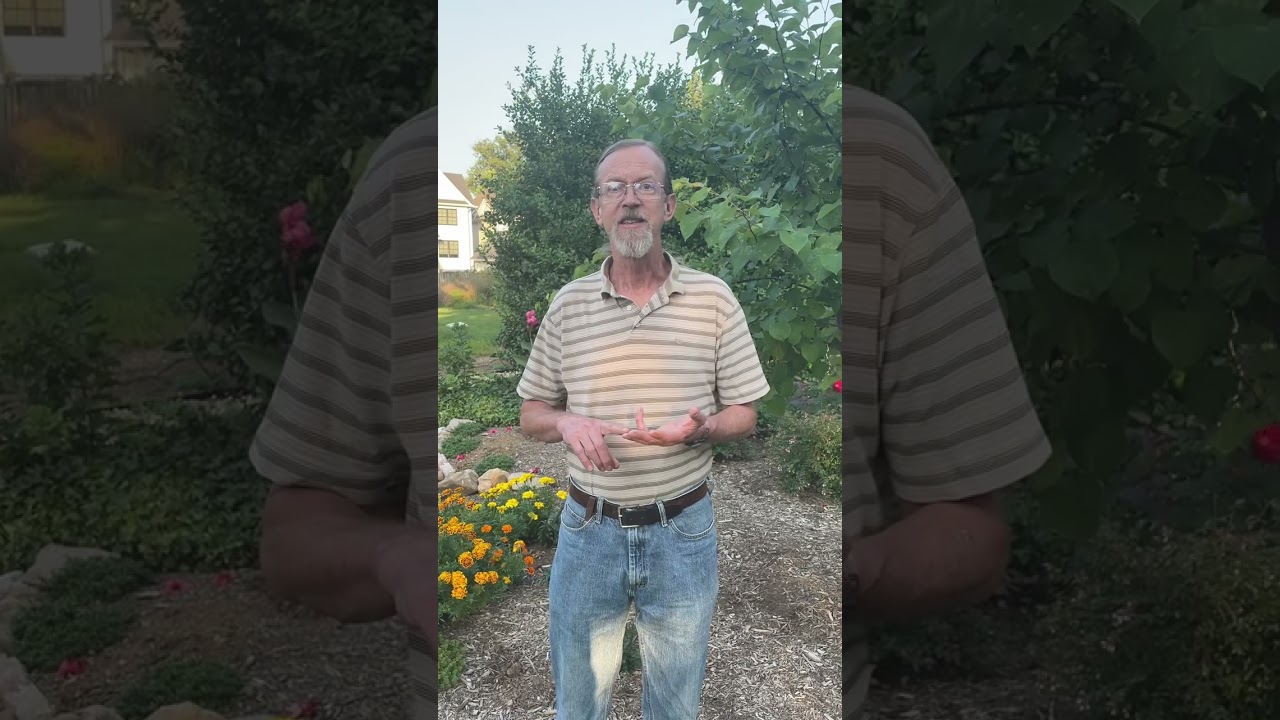 John B. Murphy for City Council