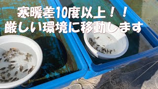 寒暖差10度以上！！あえて厳しい環境に移動します。