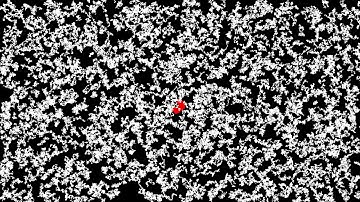 Brownian Motion - many particles, all showing paths - 1min at 60fps