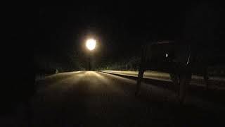 Checking out the solar lights