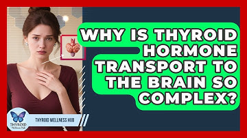 Why Is Thyroid Hormone Transport To The Brain So Complex? - Thyroid Wellness Hub