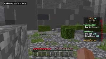 Niftymc server one block world(2)