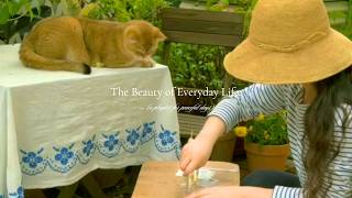 The Beauty of Everyday Life. — (a playlist for peaceful days) screenshot 2