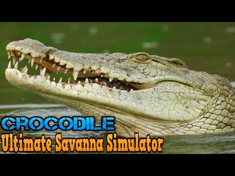 Ultimate Savanna Simulator #Crocodile By Gluten Free Games Action & Adventure iTunes/Android