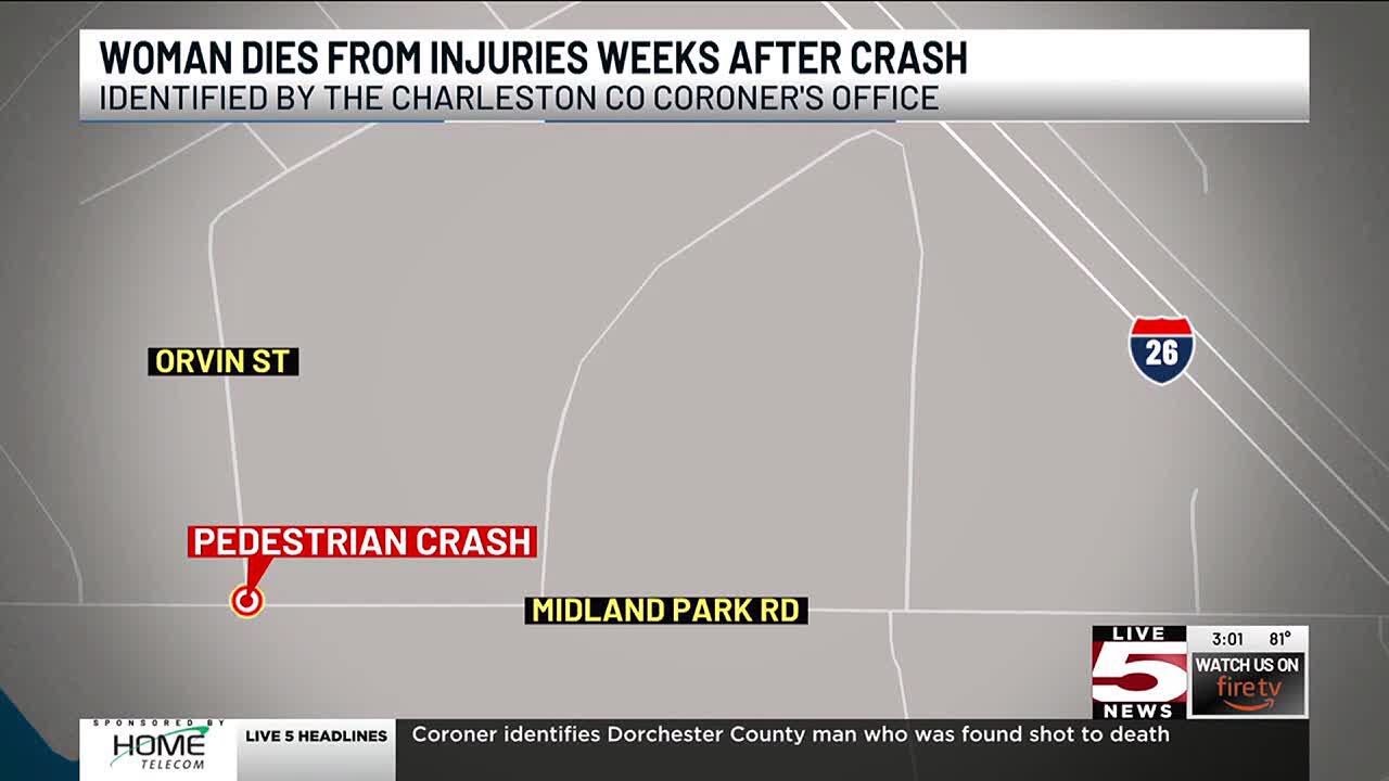 VIDEO: Coroner identifies pedestrian who died days after North ...