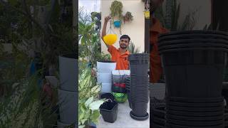 Planters Shopping Haul l Online Shopping Haul l Gamle Hi Gamle #pots #amazon #flipkart #meesho